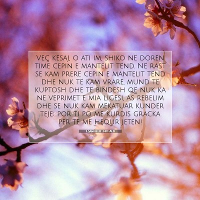 Picture 07 - 1 Samuelit 24:11 ALB - Veç kësaj, o ati im, shiko në dorën time - Bible Verse Picture