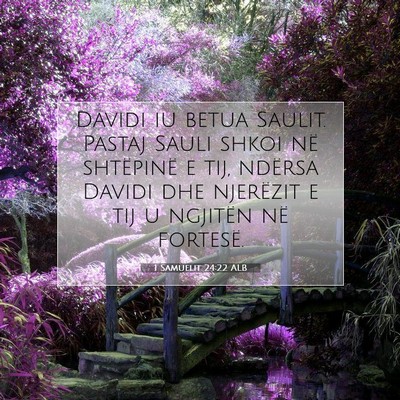 Picture 07 - 1 Samuelit 24:22 ALB - Davidi iu betua Saulit. Pastaj Sauli shkoi në - Bible Verse Picture