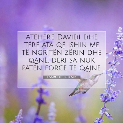Picture 07 - 1 Samuelit 30:4 ALB - Atëherë Davidi dhe tërë ata që ishin me të - Bible Verse Picture