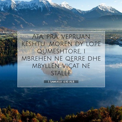 Picture 07 - 1 Samuelit 6:10 ALB - Ata, pra, vepruan kështu: morën dy lopë - Bible Verse Picture