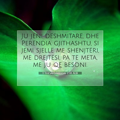 Picture 07 - 1 Thesalonikasve 2:10 ALB - Ju jeni dëshmitarë, dhe Perëndia gjithashtu, - Bible Verse Picture