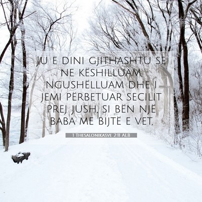 Picture 07 - 1 Thesalonikasve 2:11 ALB - Ju e dini gjithashtu se ne këshilluam, - Bible Verse Picture