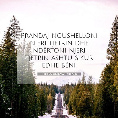 Picture 07 - 1 Thesalonikasve 5:11 ALB - Prandaj ngushëlloni njeri tjetrin dhe ndërtoni - Bible Verse Picture
