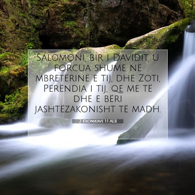 Picture 07 - 2 Kronikave 1:1 ALB - Salomoni, bir i Davidit, u forcua shumë në - Bible Verse Picture