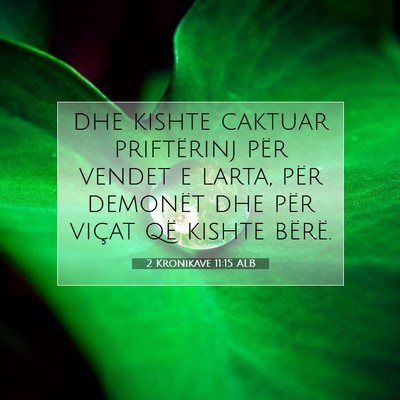 Picture 07 - 2 Kronikave 11:15 ALB - dhe kishte caktuar priftërinj për vendet e - Bible Verse Picture