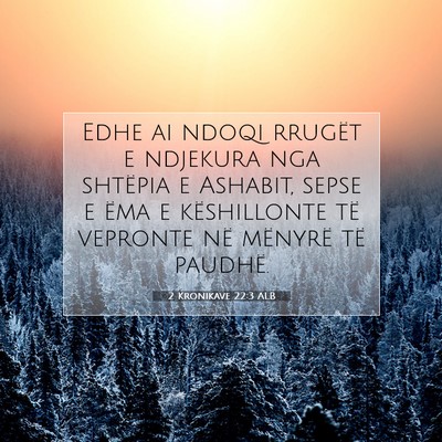 Picture 07 - 2 Kronikave 22:3 ALB - Edhe ai ndoqi rrugët e ndjekura nga shtëpia e - Bible Verse Picture