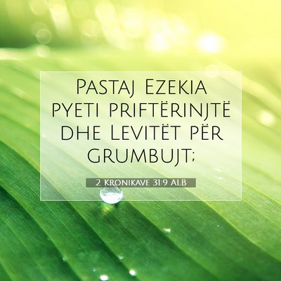Picture 07 - 2 Kronikave 31:9 ALB - Pastaj Ezekia pyeti priftërinjtë dhe Levitët - Bible Verse Picture