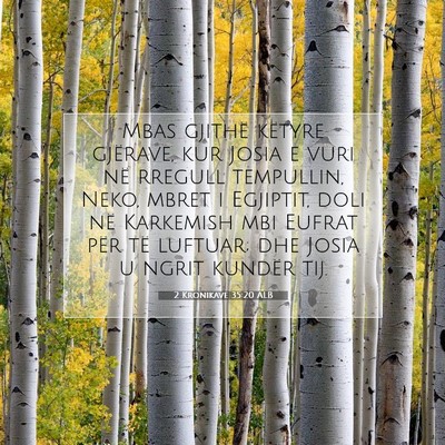 Picture 07 - 2 Kronikave 35:20 ALB - Mbas gjithë këtyre gjërave, kur Josia e vuri - Bible Verse Picture