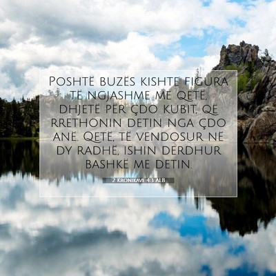 Picture 07 - 2 Kronikave 4:3 ALB - Poshtë buzës kishte figura të ngjashme me - Bible Verse Picture