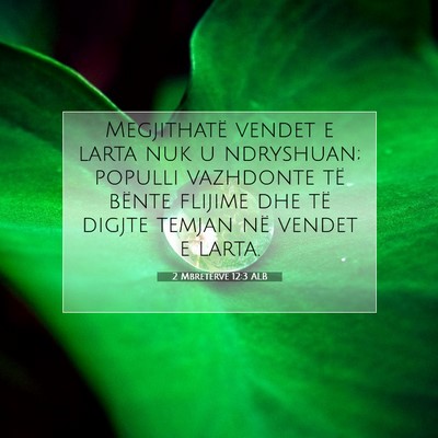 Picture 07 - 2 Mbretërve 12:3 ALB - Megjithatë vendet e larta nuk u ndryshuan; - Bible Verse Picture