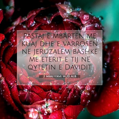 Picture 07 - 2 Mbretërve 14:20 ALB - Pastaj e mbartën me kuaj dhe e varrosën në - Bible Verse Picture