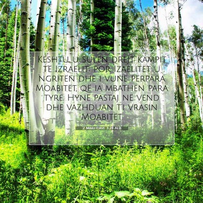 Picture 07 - 2 Mbretërve 3:24 ALB - Kështu u sulën drejt kampit të Izraelit; por - Bible Verse Picture