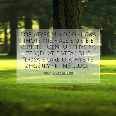 Picture 07 - 2 Pjetrit 2:22 ALB - Por atyre u ndodhi ç’ka thotë një fjalë e - Bible Verse Picture