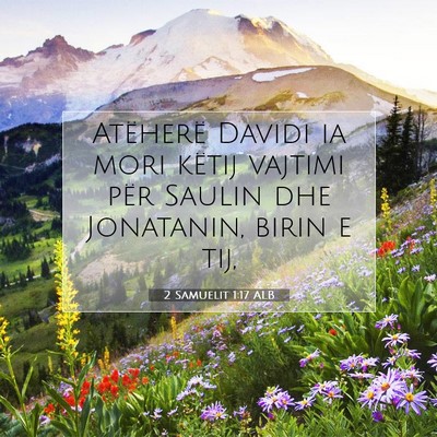 Picture 07 - 2 Samuelit 1:17 ALB - Atëherë Davidi ia mori këtij vajtimi për - Bible Verse Picture