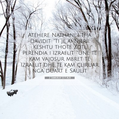 Picture 07 - 2 Samuelit 12:7 ALB - Atëherë Nathani i tha Davidit: 