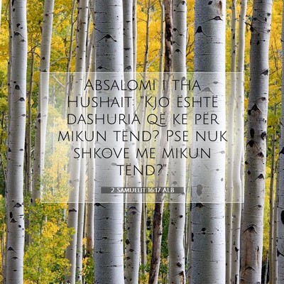 Picture 07 - 2 Samuelit 16:17 ALB - Absalomi i tha Hushait: 