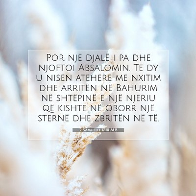 Picture 07 - 2 Samuelit 17:18 ALB - Por një djalë i pa dhe njoftoi Absalomin. Të - Bible Verse Picture