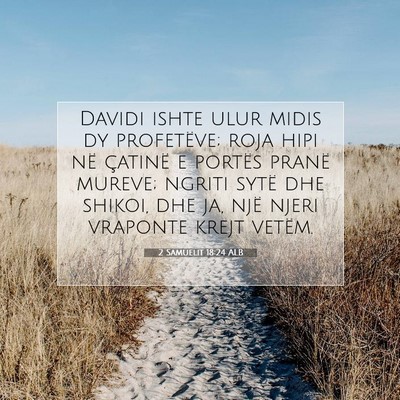 Picture 07 - 2 Samuelit 18:24 ALB - Davidi ishte ulur midis dy profetëve; roja hipi - Bible Verse Picture