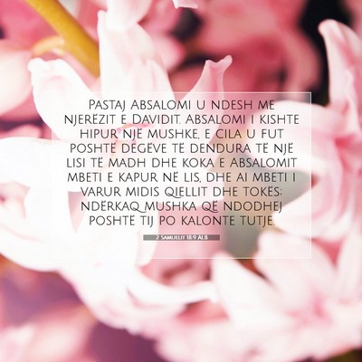 Picture 07 - 2 Samuelit 18:9 ALB - Pastaj Absalomi u ndesh me njerëzit e Davidit. - Bible Verse Picture