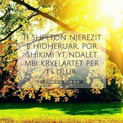 Picture 07 - 2 Samuelit 22:28 ALB - Ti shpëton njerëzit e hidhëruar, por shikimi - Bible Verse Picture