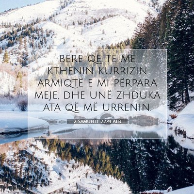 Picture 07 - 2 Samuelit 22:41 ALB - bëre që të më kthenin kurrizin armiqtë e mi - Bible Verse Picture