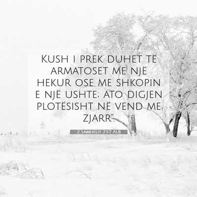 Picture 07 - 2 Samuelit 23:7 ALB - Kush i prek duhet të armatoset me një hekur ose - Bible Verse Picture