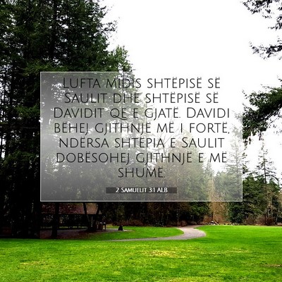Picture 07 - 2 Samuelit 3:1 ALB - Lufta midis shtëpisë së Saulit dhe shtëpisë - Bible Verse Picture