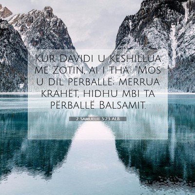 Picture 07 - 2 Samuelit 5:23 ALB - Kur Davidi u këshillua me Zotin, ai i tha: 