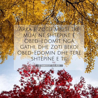 Picture 07 - 2 Samuelit 6:11 ALB - Arka e Zotit mbeti tre muaj në shtëpinë e - Bible Verse Picture