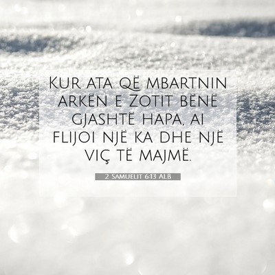Picture 07 - 2 Samuelit 6:13 ALB - Kur ata që mbartnin arkën e Zotit bënë - Bible Verse Picture