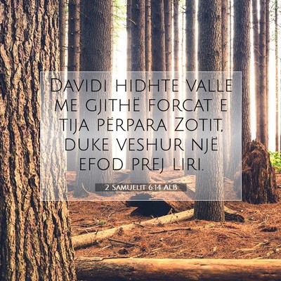 Picture 07 - 2 Samuelit 6:14 ALB - Davidi hidhte valle me gjithë forcat e tija - Bible Verse Picture