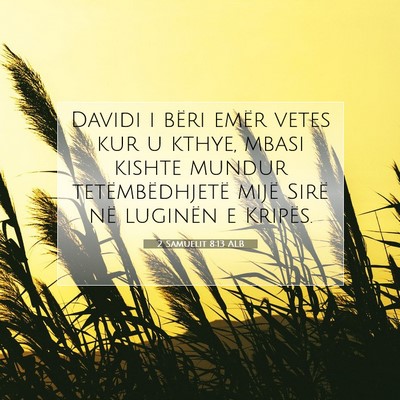 Picture 07 - 2 Samuelit 8:13 ALB - Davidi i bëri emër vetes kur u kthye, mbasi - Bible Verse Picture