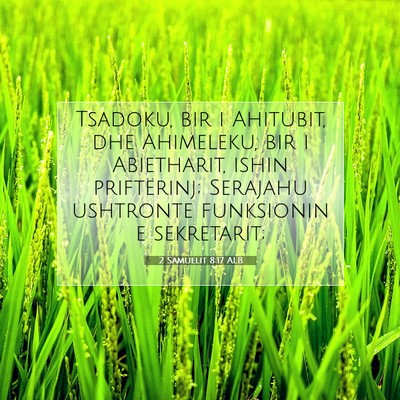 Picture 07 - 2 Samuelit 8:17 ALB - Tsadoku, bir i Ahitubit, dhe Ahimeleku, bir i - Bible Verse Picture