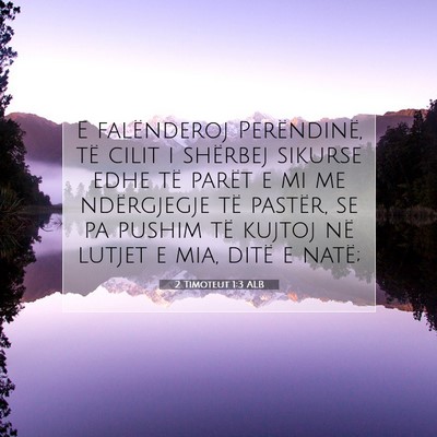 Picture 07 - 2 Timoteut 1:3 ALB - E falënderoj Perëndinë, të cilit i shërbej - Bible Verse Picture