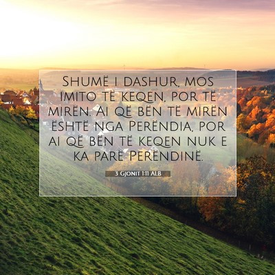 Picture 07 - 3 Gjonit 1:11 ALB - Shumë i dashur, mos imito të keqen, por të - Bible Verse Picture