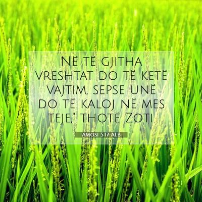 Picture 07 - Amosi 5:17 ALB - Në të gjitha vreshtat do të ketë vajtim, - Bible Verse Picture