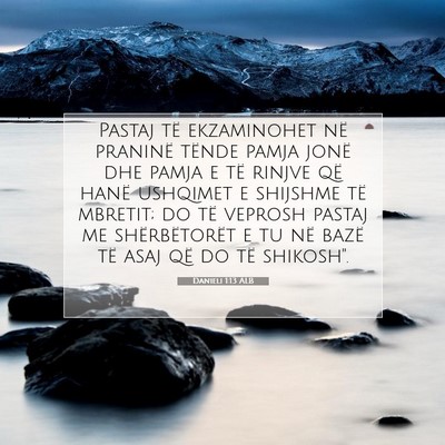 Picture 07 - Danieli 1:13 ALB - Pastaj të ekzaminohet në praninë tënde pamja - Bible Verse Picture