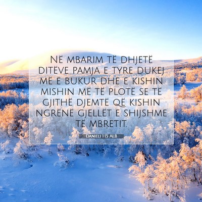 Picture 07 - Danieli 1:15 ALB - Në mbarim të dhjetë ditëve pamja e tyre dukej - Bible Verse Picture