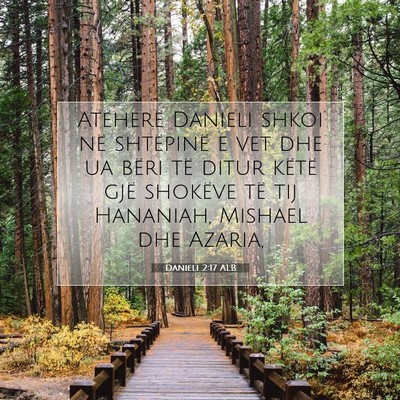 Picture 07 - Danieli 2:17 ALB - Atëherë Danieli shkoi në shtëpinë e vet dhe - Bible Verse Picture