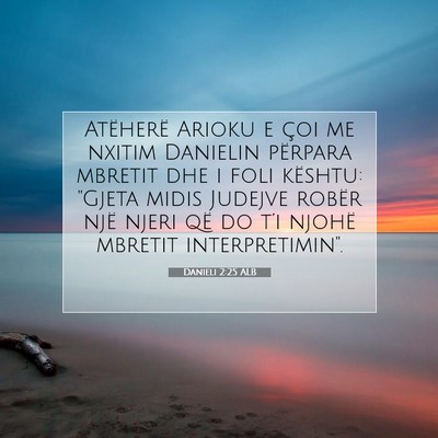 Picture 07 - Danieli 2:25 ALB - Atëherë Arioku e çoi me nxitim Danielin - Bible Verse Picture