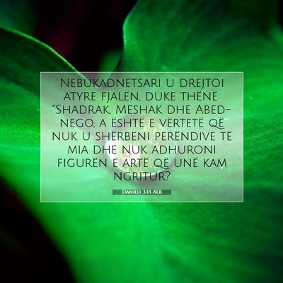 Picture 07 - Danieli 3:14 ALB - Nebukadnetsari u drejtoi atyre fjalën, duke - Bible Verse Picture
