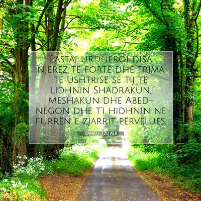 Picture 07 - Danieli 3:20 ALB - Pastaj urdhëroi disa njerëz të fortë dhe - Bible Verse Picture