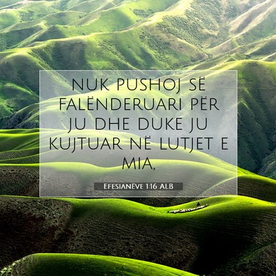 Picture 07 - Efesianëve 1:16 ALB - nuk pushoj së falënderuari për ju dhe duke ju - Bible Verse Picture