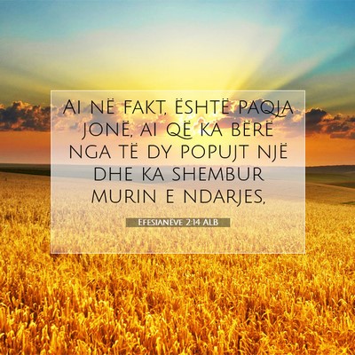Picture 07 - Efesianëve 2:14 ALB - Ai në fakt, është paqja jonë, ai që ka - Bible Verse Picture
