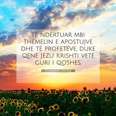 Picture 07 - Efesianëve 2:20 ALB - të ndërtuar mbi themelin e apostujve dhe të - Bible Verse Picture