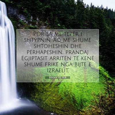 Picture 07 - Eksodi 1:12 ALB - Por sa më tepër i shtypnin, aq më shumë - Bible Verse Picture