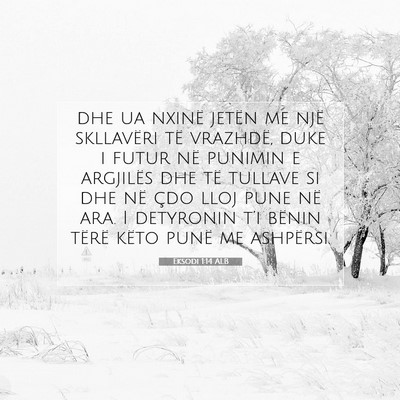 Picture 07 - Eksodi 1:14 ALB - dhe ua nxinë jetën me një skllavëri të - Bible Verse Picture