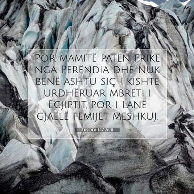 Picture 07 - Eksodi 1:17 ALB - Por mamitë patën frikë nga Perëndia dhe nuk - Bible Verse Picture