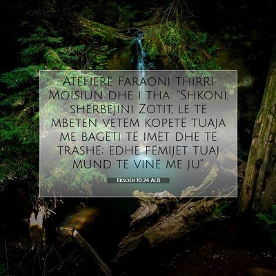 Picture 07 - Eksodi 10:24 ALB - Atëherë Faraoni thirri Moisiun dhe i tha: - Bible Verse Picture