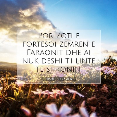 Picture 07 - Eksodi 10:27 ALB - Por Zoti e fortësoi zemrën e Faraonit dhe ai - Bible Verse Picture